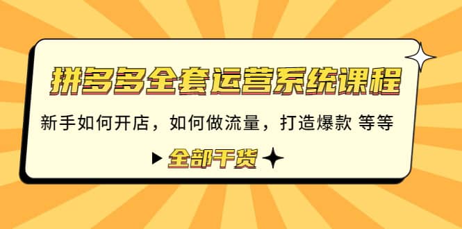 拼多多全套运营系统课程：新手如何开店 如何做流量 打造爆款 等等 全部干货-亦可网创