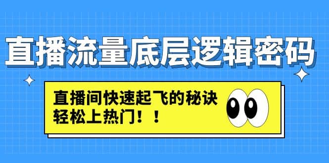 直播流量底层逻辑密码：直播间快速起飞的秘诀，轻松上热门-亦可网创