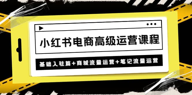 小红书电商高级运营课程：基础入驻篇 商城流量运营 笔记流量运营-亦可网创