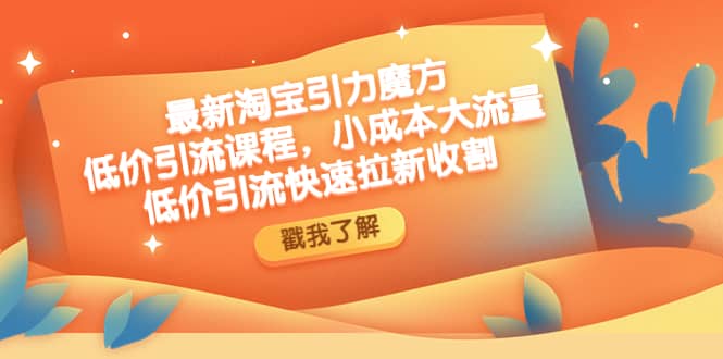 最新淘宝引力魔方低价引流实操：小成本大流量-亦可网创