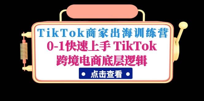 TikTok商家出海训练营：0-1快速上手 TikTok跨境电商底层逻辑(无水印)-亦可网创