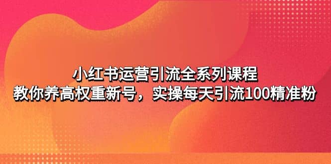 小红书运营引流全系列课程：教你养高权重新号-亦可网创