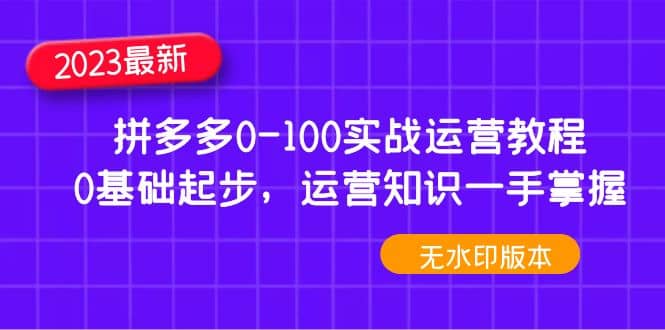 2023拼多多0-100实战运营教程，0基础起步，运营知识一手掌握（无水印）-亦可网创