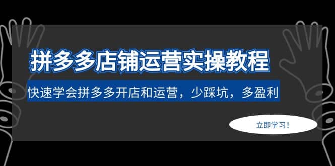 拼多多店铺运营实操教程：快速学会拼多多开店和运营，少踩坑，多盈利-亦可网创