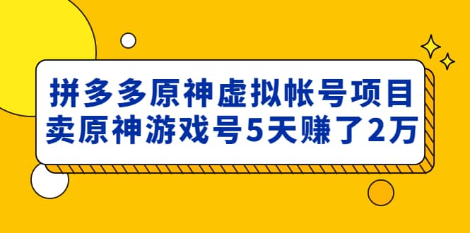 外面卖2980的拼多多原神虚拟帐号项目-亦可网创