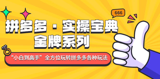 拼多多·实操宝典：金牌系列“小白到高手”带你全方位玩转拼多多各种玩法-亦可网创