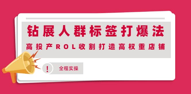 钻展人群标签打爆法，高投产ROL收割打造高权重店铺(全程实操)-亦可网创