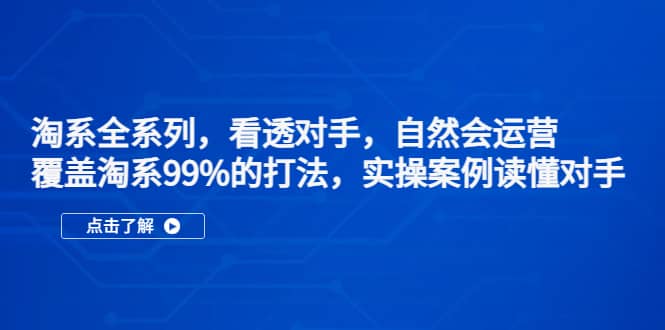 淘系全系列，看透对手，自然会运营，覆盖淘系99%·打法，实操案例读懂对手-亦可网创