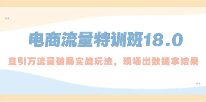 电商流量特训班18.0，直引万流量破局实操玩法，现场出数据拿结果-亦可网创