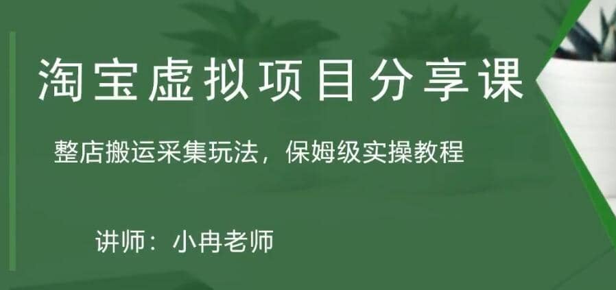 淘宝虚拟整店搬运采集玩法分享课：整店搬运采集玩法，保姆级实操教程-亦可网创