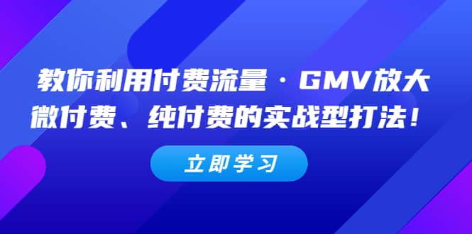 教你利用付费流量·GMV放大，微付费、纯付费的实战型打法-亦可网创