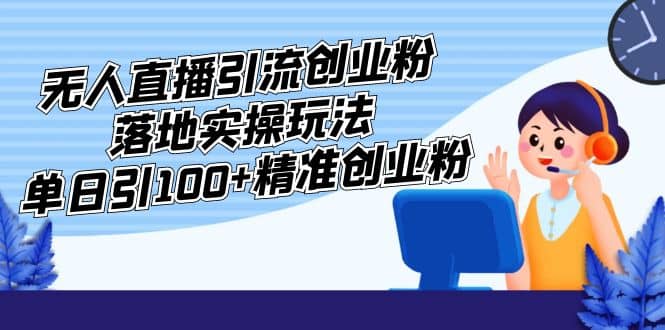 外面收费3980的无人直播引流创业粉落地实操玩法，单日引100 精准创业粉-亦可网创