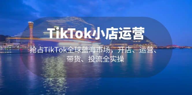 TikTok小店运营 抢占TikTok全球蓝海市场，开店、运营、带货、投流全实操-亦可网创