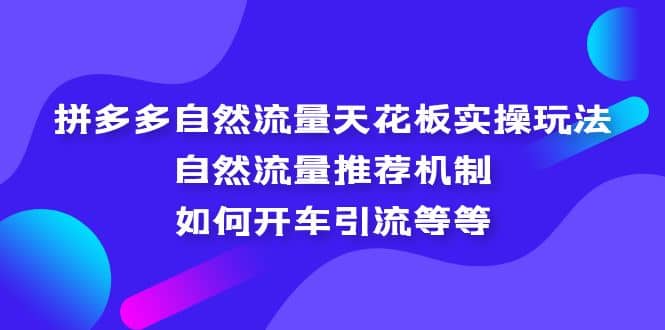 拼多多自然流量天花板实操玩法：自然流量推荐机制，如何开车引流等等-亦可网创