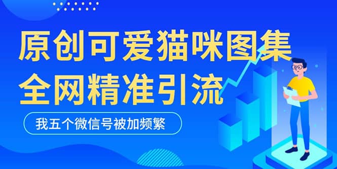 黑科技纯原创可爱猫咪图片，全网精准引流，实操5个VX号被加频繁-亦可网创