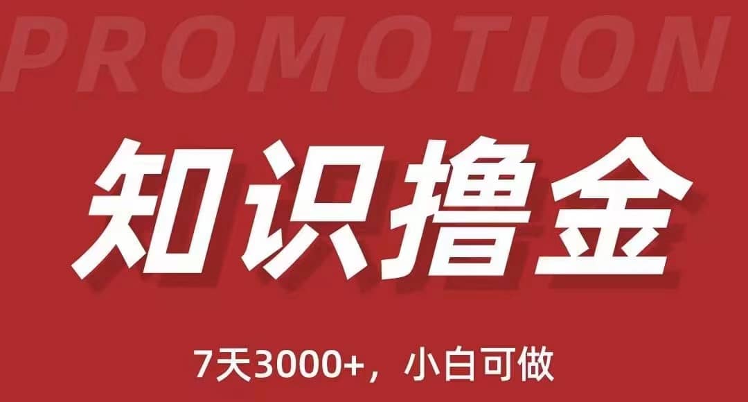 抖音知识撸金项目：执行力强当天见收益(教程 资料)-亦可网创