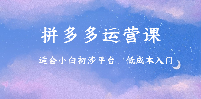 拼多多运营课，适合小白初涉平台，低成本入门-亦可网创