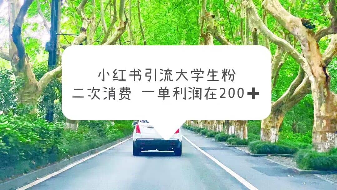 小红书引流大学生粉，变现项目，一单利润在200 （教程 资源）-亦可网创