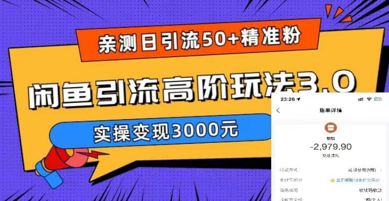 实测日引50 精准粉，闲鱼引流高阶玩法3.0，实操变现3000元-亦可网创