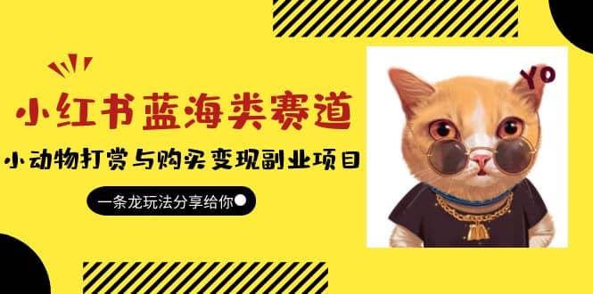 小红书蓝海类赛道：小动物打赏与购买变现副业项目，一条龙玩法分享给你-亦可网创