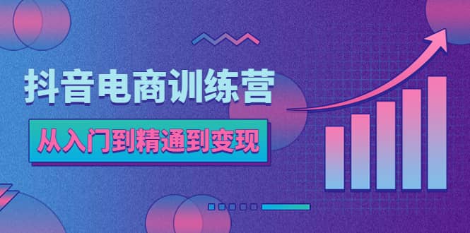 抖音电商训练营：从入门到精通，从账号定位到流量变现，抖店运营实操-亦可网创