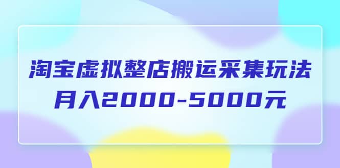 淘宝虚拟整店搬运采集玩法分享课：月入2000-5000元（5节课）-亦可网创