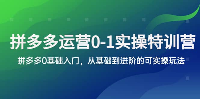 拼多多-运营0-1实操训练营，拼多多0基础入门，从基础到进阶的可实操玩法-亦可网创