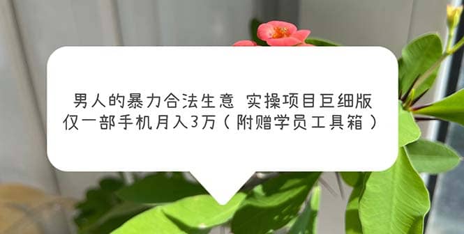 男人的暴力合法生意实操项目巨细版：仅一部手机月入3w（附赠学员工具箱）-亦可网创