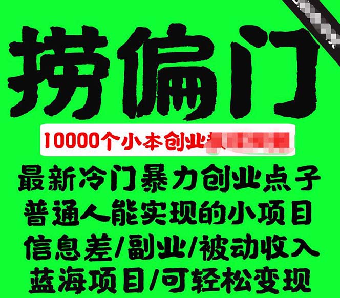 千款捞偏门小本创业小项目，总有一款适合你【无水印】-亦可网创