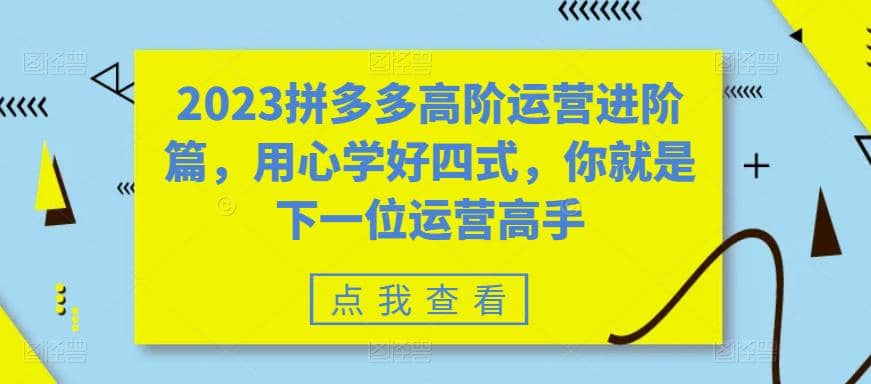 2023拼多多高阶运营进阶篇，用心学好四式，你就是下一位运营高手-亦可网创
