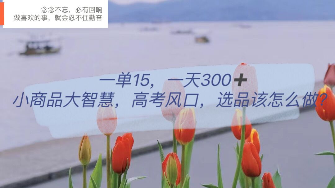 一单15，一天300 ，小商品大智慧，高考风口，选品该怎么布局-亦可网创