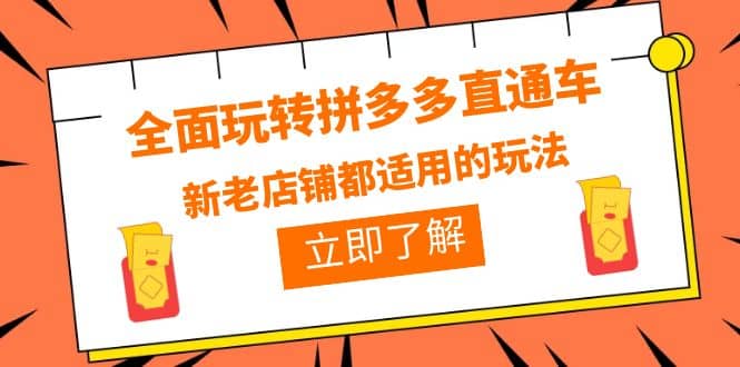 全面玩转拼多多直通车，新老店铺都适用的玩法（12节精华课）-亦可网创