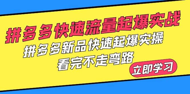 拼多多-快速流量起爆实战，拼多多新品快速起爆实操，看完不走弯路-亦可网创