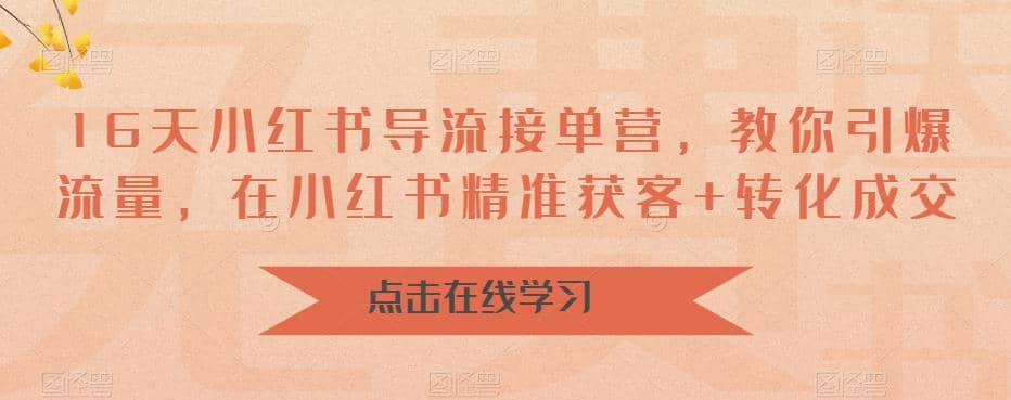 16天-小红书 导流接单营，教你引爆流量，在小红书精准获客 转化成交-亦可网创