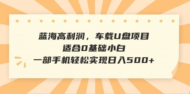 蓝海高利润，车载U盘项目，适合0基础小白，一部手机轻松实现日入500-亦可网创