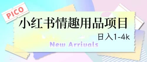 最新小红书情趣用品项目，日入1-4k-亦可网创