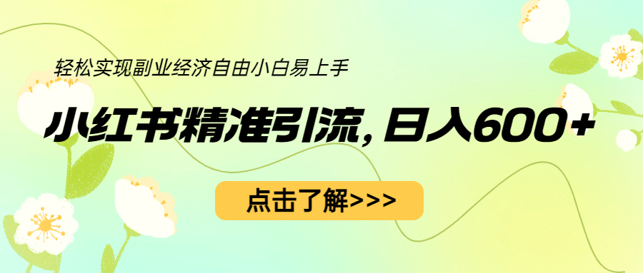 小红书精准引流，小白日入600 ，轻松实现副业经济自由（教程 1153G资源）-亦可网创