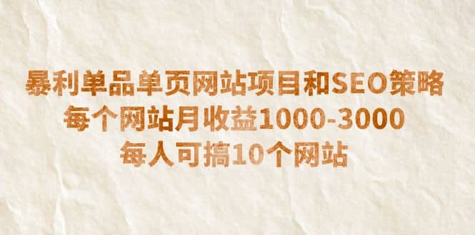 暴利单品单页网站项目和SEO策略 每个网站月收益1000-3000 每人可搞10个-亦可网创