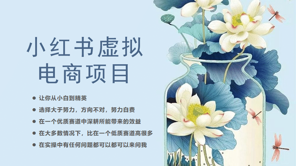 小红书虚拟电商从0到1，让你从小白到精英（20节实操课程）-亦可网创