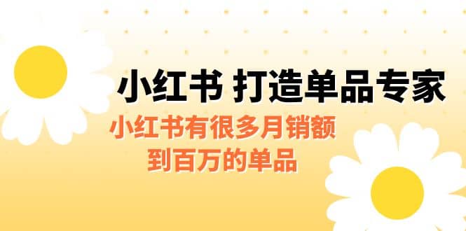 某公众号付费文章《小红书 打造单品专家》小红书有很多月销额到百万的单品-亦可网创