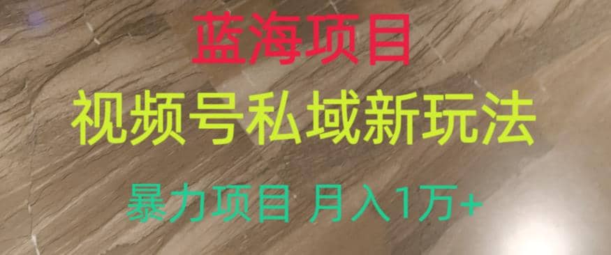 蓝海项目，视频号私域新玩法，暴力项目月入1万 【揭秘】-亦可网创