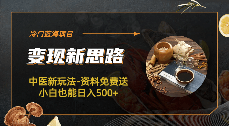 冷门蓝海项目-中医新玩法-冷门蓝海项目-中医新玩法-资料免费送小白也能日入500 500-亦可网创