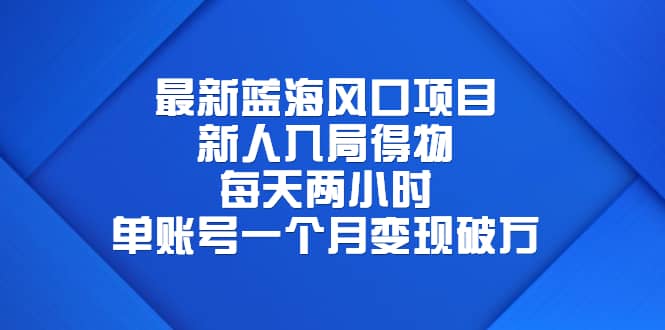 最新蓝海风口项目，新人入局得物，每天两小时，单账号一个月变现破万-亦可网创