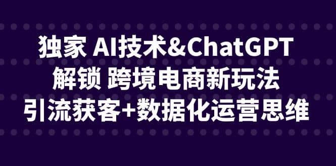 独家 AI技术ChatGPT解锁 跨境电商新玩法，引流获客 数据化运营思维-亦可网创