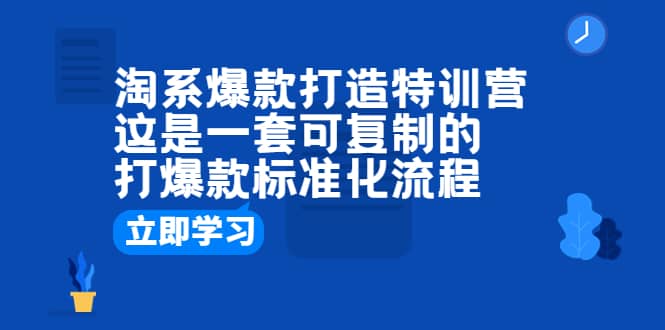 淘系爆款打造特训营：这是一套可复制的打爆款标准化流程-亦可网创