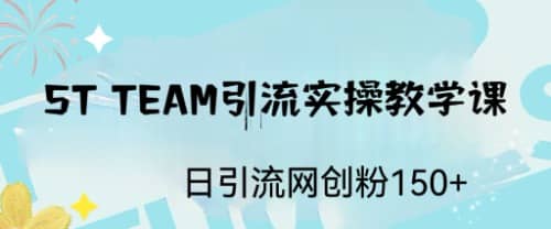 ST TEAM引流实操课，日引流网创粉100-亦可网创