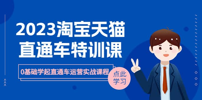 2023淘宝·天猫直通车评特训课，0基础学起直通车运营实战课程（8节课时）-亦可网创