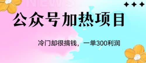 冷门公众号加热项目，一单利润300-亦可网创