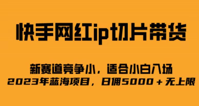 快手网红ip切片新赛道，竞争小事，适合小白 2023蓝海项目-亦可网创