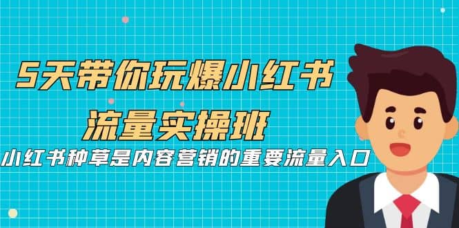 5天带你玩爆小红书流量实操班，小红书种草是内容营销的重要流量入口-亦可网创